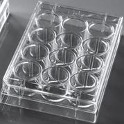 Picture of Cell Culture Plates