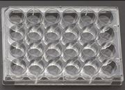 Picture of Cell Culture Plates