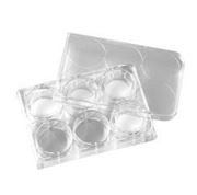 Picture of Glass Bottom Cell Cutlure Dishes/ Plates