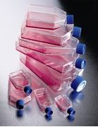 Picture of Cell Culture Flasks