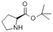 Picture of (S)-2-(tert-Butoxycarbonyl)pyrrolidine; (S)-Proline tert-butyl ester; (S)-tert-Butyl pyrrolidine-2-carboxylate; 1,1-Dimethylethyl L-prolinate; L-Proline tert-butyl ester