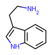 Picture of TRYPTAMINE