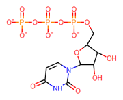 Picture of uridine-5'-triphosphoric acid trisodium salt