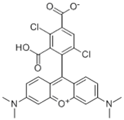 Picture of 1,4-dichloro 5-Carboxytetramethyl rhodamine