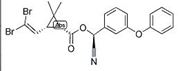 Picture of Deltamethrin