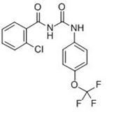 Picture of Triflumuron