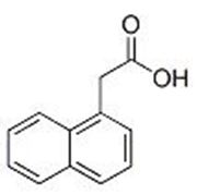 Picture of 1-Naphthylacetic Acid  