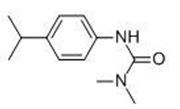 Picture of Isoproturon