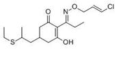 Picture of Clethodim