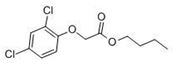 Picture of 2,4-D 1-butyl ester