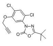 Picture of Oxadiargyl