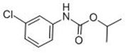 Picture of Chlorpropham